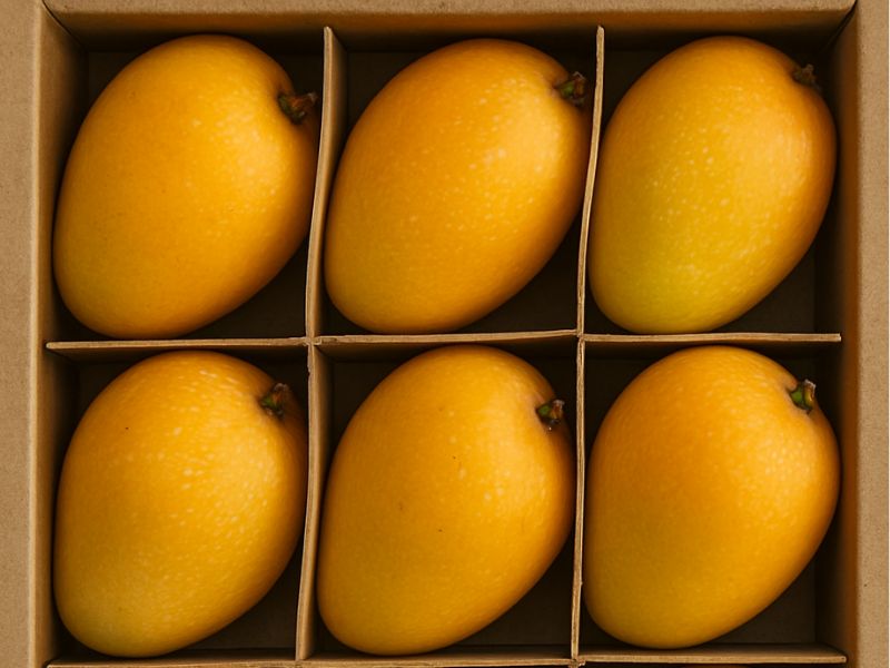 Mango
